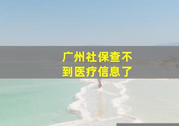 广州社保查不到医疗信息了