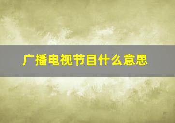 广播电视节目什么意思