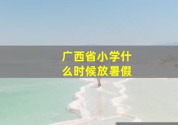 广西省小学什么时候放暑假