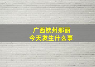 广西钦州那丽今天发生什么事