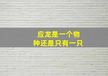 应龙是一个物种还是只有一只