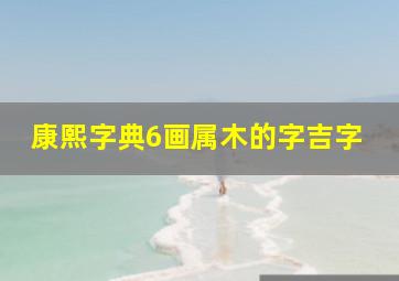 康熙字典6画属木的字吉字