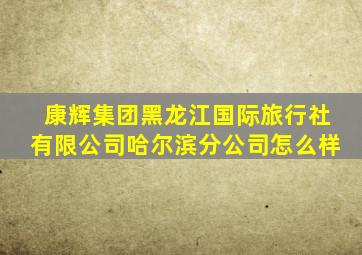 康辉集团黑龙江国际旅行社有限公司哈尔滨分公司怎么样