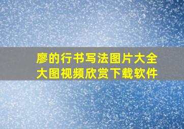 廖的行书写法图片大全大图视频欣赏下载软件