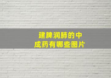 建脾润肺的中成药有哪些图片