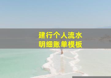 建行个人流水明细账单模板