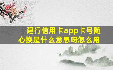 建行信用卡app卡号随心换是什么意思呀怎么用