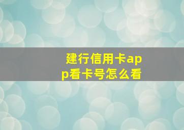 建行信用卡app看卡号怎么看