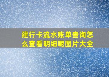 建行卡流水账单查询怎么查看明细呢图片大全