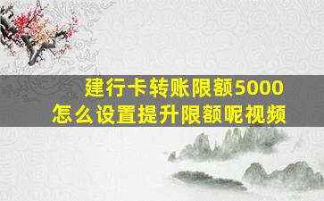 建行卡转账限额5000怎么设置提升限额呢视频