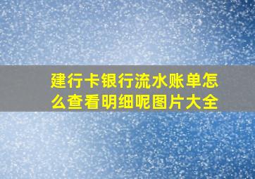 建行卡银行流水账单怎么查看明细呢图片大全