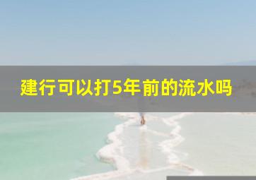 建行可以打5年前的流水吗