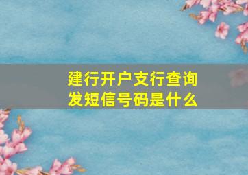 建行开户支行查询发短信号码是什么