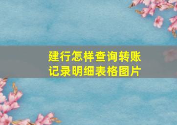 建行怎样查询转账记录明细表格图片