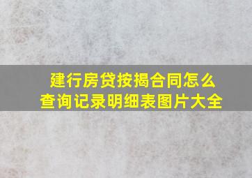 建行房贷按揭合同怎么查询记录明细表图片大全