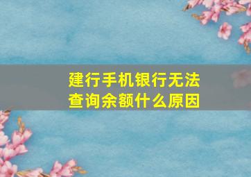 建行手机银行无法查询余额什么原因