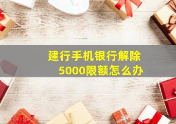 建行手机银行解除5000限额怎么办