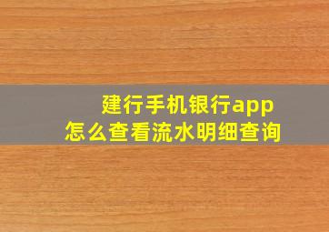 建行手机银行app怎么查看流水明细查询