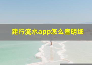 建行流水app怎么查明细