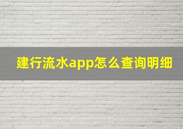 建行流水app怎么查询明细