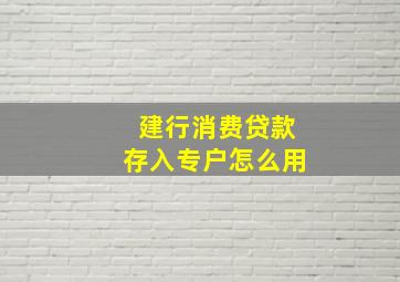 建行消费贷款存入专户怎么用