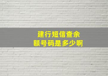 建行短信查余额号码是多少啊