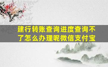 建行转账查询进度查询不了怎么办理呢微信支付宝