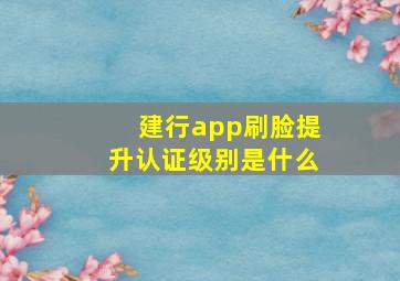 建行app刷脸提升认证级别是什么