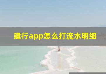 建行app怎么打流水明细