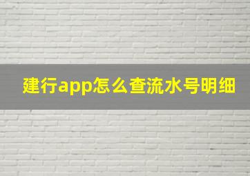 建行app怎么查流水号明细