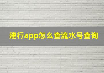 建行app怎么查流水号查询