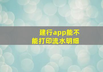 建行app能不能打印流水明细