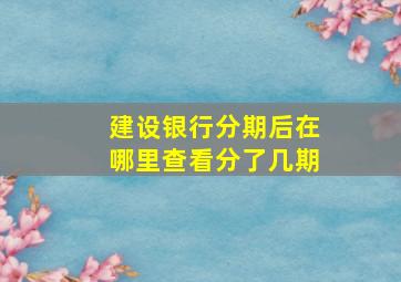 建设银行分期后在哪里查看分了几期