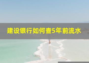 建设银行如何查5年前流水