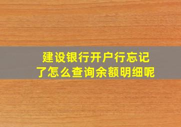 建设银行开户行忘记了怎么查询余额明细呢