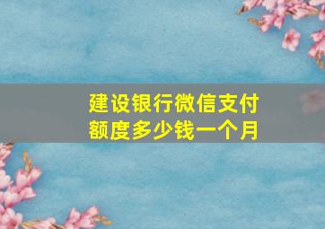 建设银行微信支付额度多少钱一个月