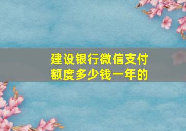 建设银行微信支付额度多少钱一年的