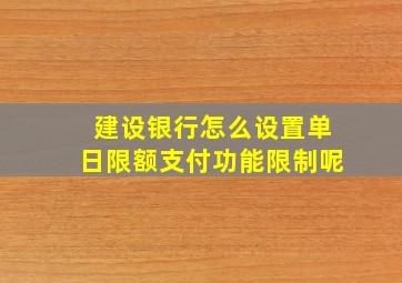 建设银行怎么设置单日限额支付功能限制呢