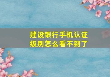 建设银行手机认证级别怎么看不到了