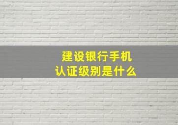 建设银行手机认证级别是什么