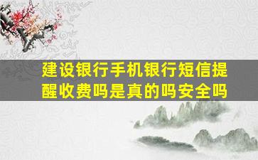 建设银行手机银行短信提醒收费吗是真的吗安全吗