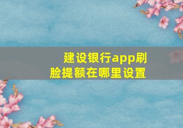 建设银行app刷脸提额在哪里设置