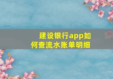 建设银行app如何查流水账单明细