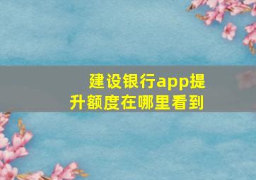 建设银行app提升额度在哪里看到