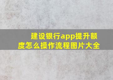 建设银行app提升额度怎么操作流程图片大全