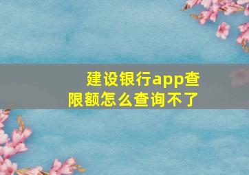 建设银行app查限额怎么查询不了