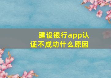 建设银行app认证不成功什么原因