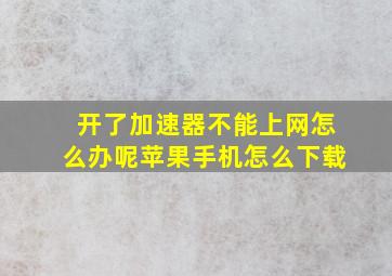 开了加速器不能上网怎么办呢苹果手机怎么下载