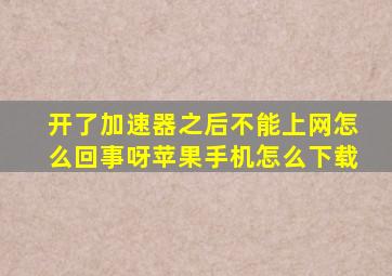 开了加速器之后不能上网怎么回事呀苹果手机怎么下载