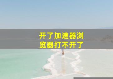 开了加速器浏览器打不开了